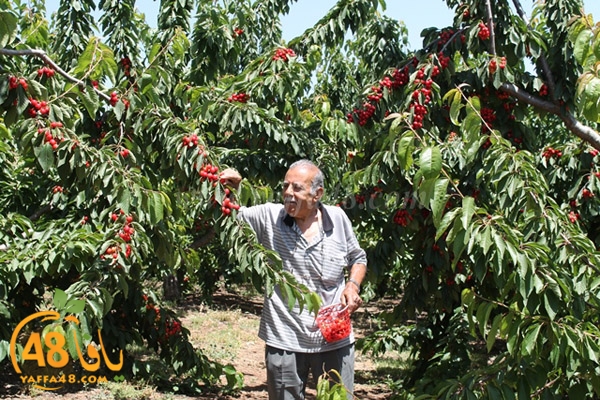 re7la bayere3jqw (20).JPG